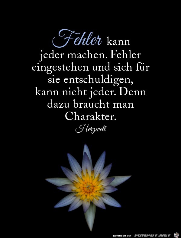 Fehler kann jeder machen Fehler kann jeder machen