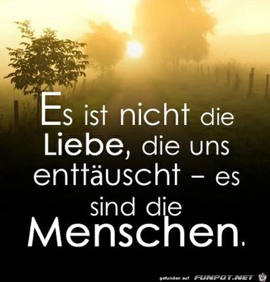 es ist nicht die Liebe........