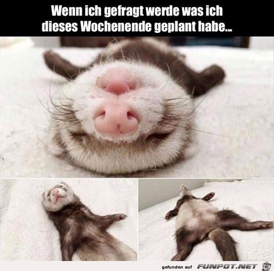 Meine Wochenend-Planung Meine Wochenend-Planung