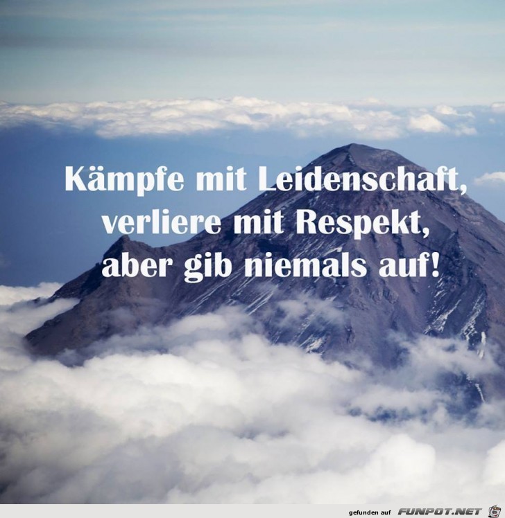 Leidenschaft Leidenschaft