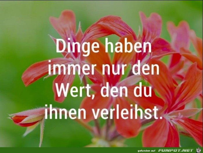 Dinge haben nur den Wert Dinge haben nur den Wert