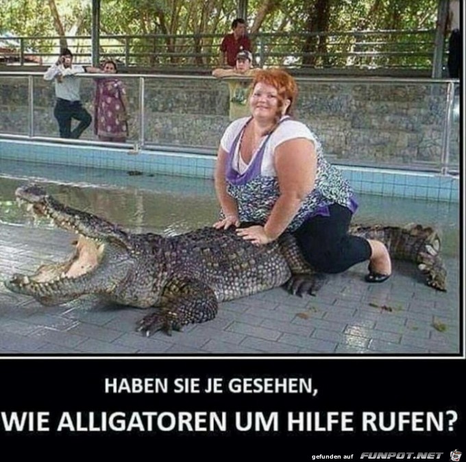 Aligator Aligator
