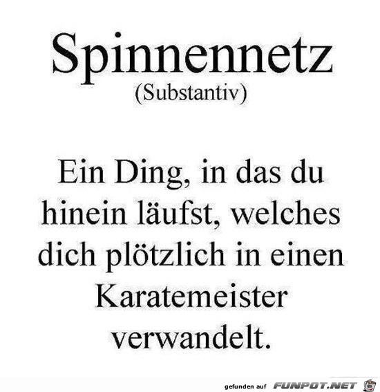 Ein Spinnen-Netz Ein Spinnen-Netz