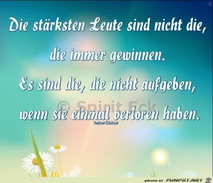 Die staerksten Leute Die staerksten Leute