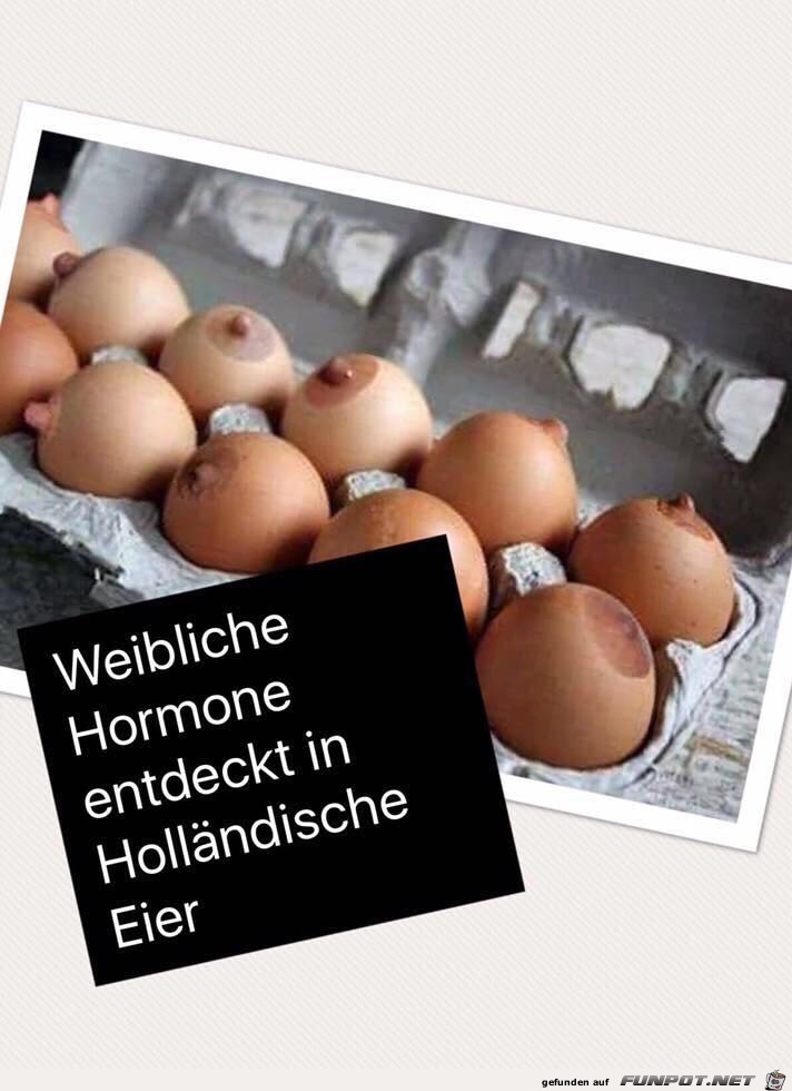 hollaendische Eier hollaendische Eier
