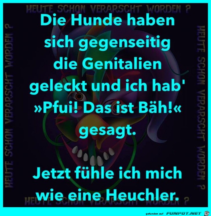 Wenn Hunde sich lecken