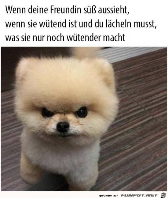 Deine Freundin Deine Freundin
