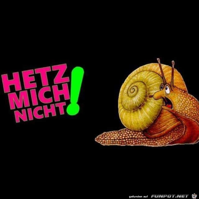 Jetzt mich nicht ! Jetzt mich nicht !