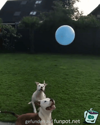 Luftballon-Spiel