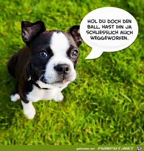 Mach das doch selber Mach das doch selber