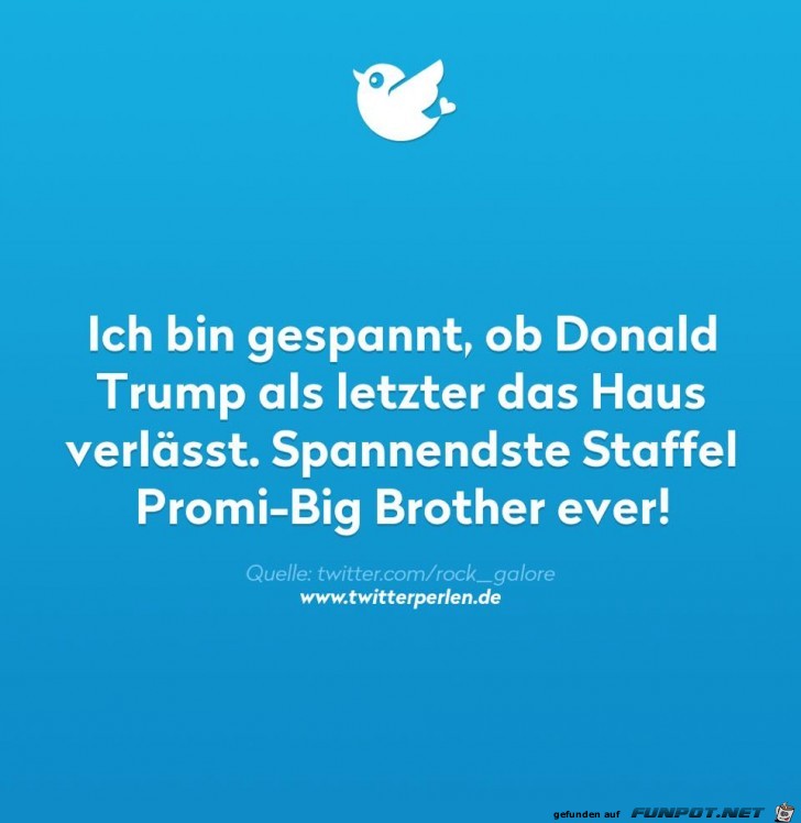 Promi Big Brother Promi Big Brother