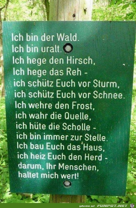 ich bin der Wald.........