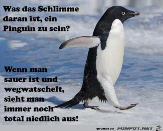 was das Schlimme daran ist.........