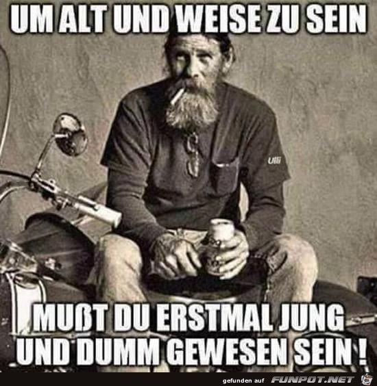um alt und weise zu ein...... um alt und weise zu ein......