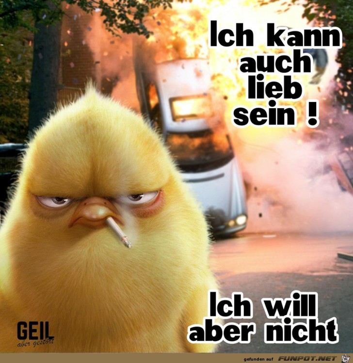 Kann auch lieb sein Kann auch lieb sein