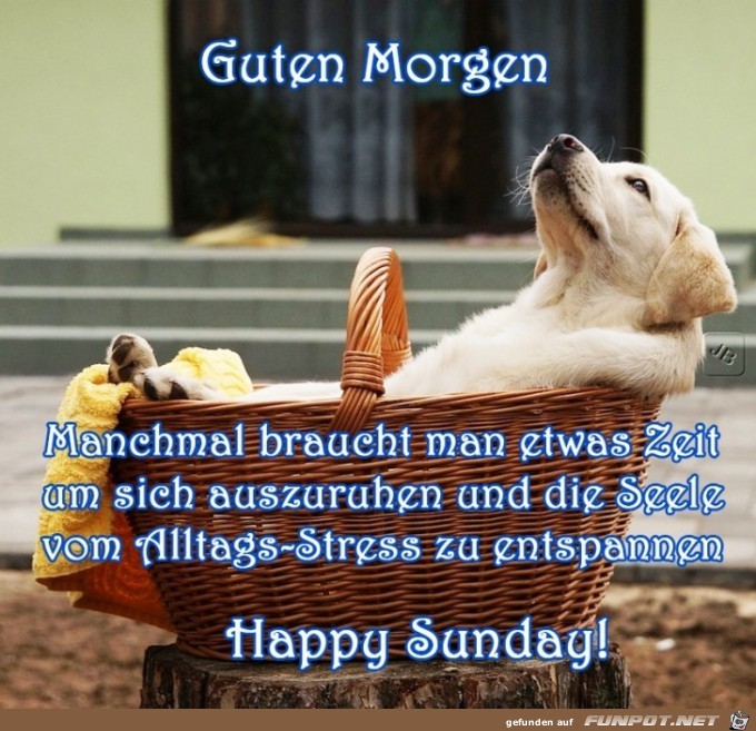 Sonntag Sonntag