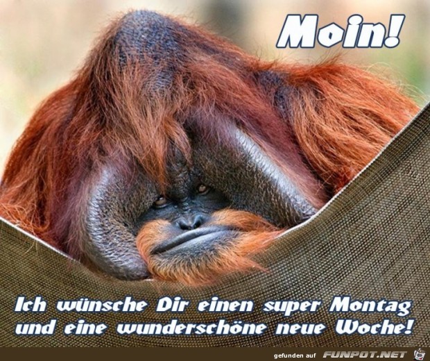 Montag Montag