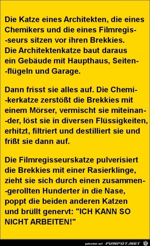 die Katze eines Architekten........