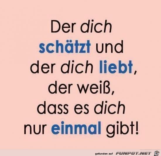 der dich schtzt und der dich liebt........