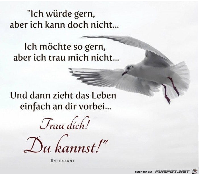 Trau dich Du kannst Trau dich Du kannst