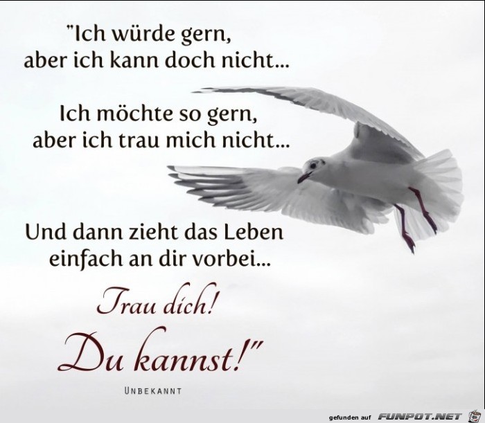 Trau dich Du kannst