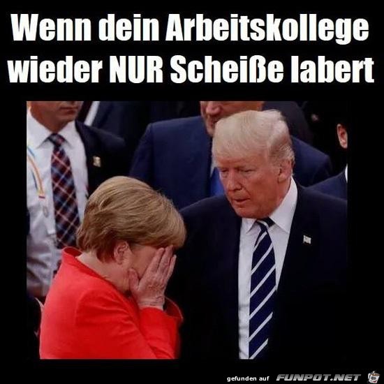 Was der labert Was der labert