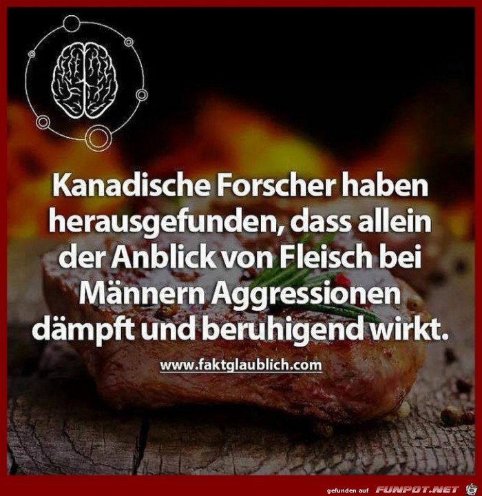 Was gegen Aggressionen hilft Was gegen Aggressionen hilft