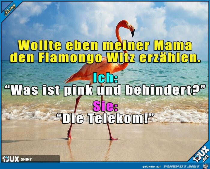 Der Flamingo-Witz Der Flamingo-Witz