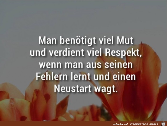 Viel Mut Viel Mut
