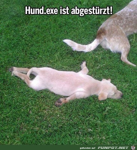 Abgestürzt Abgestürzt