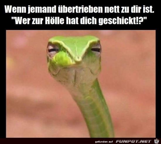 Wer hat dich geschickt Wer hat dich geschickt