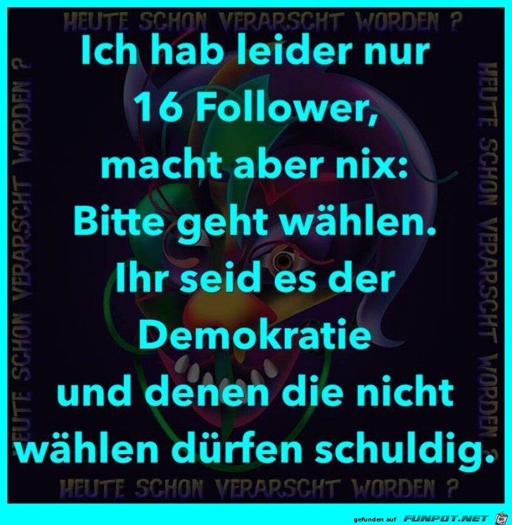 16 Follower 16 Follower