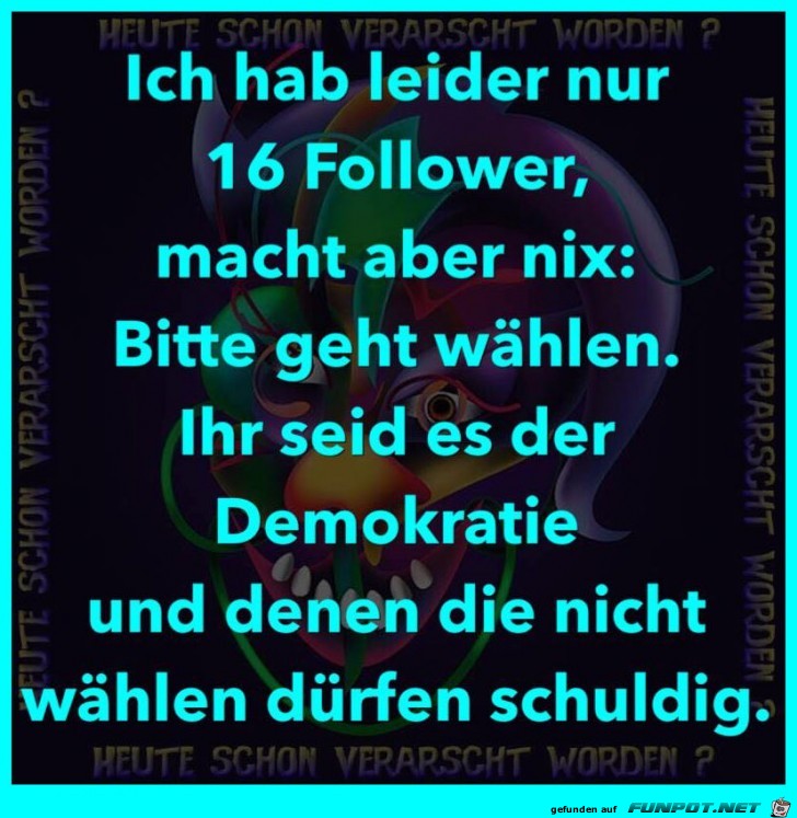 16 Follower