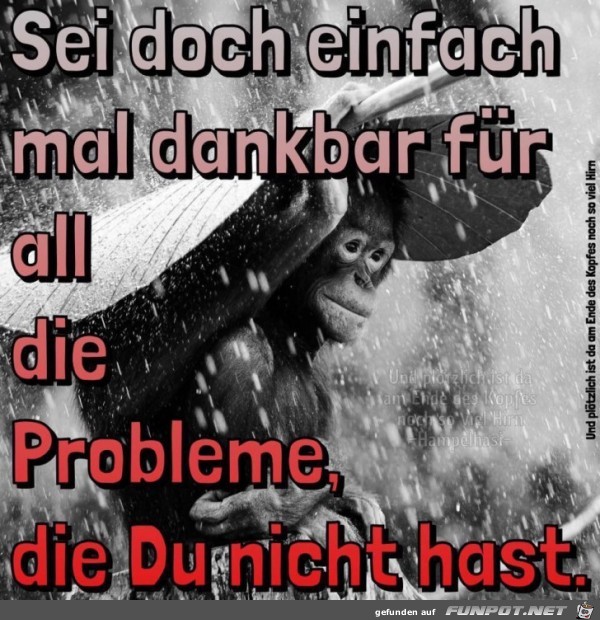 Sei dankbar Sei dankbar