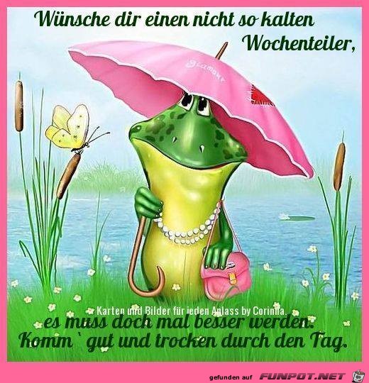 Wochenteiler Wochenteiler