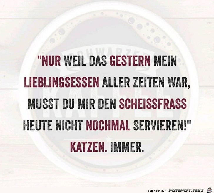 Katzen Katzen