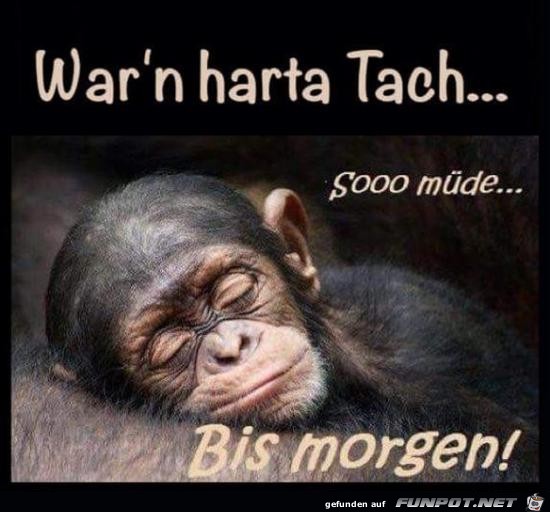 Bis morgen