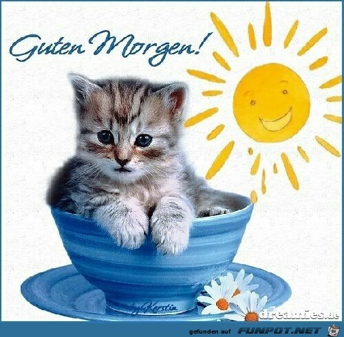 Guten Morgen Guten Morgen