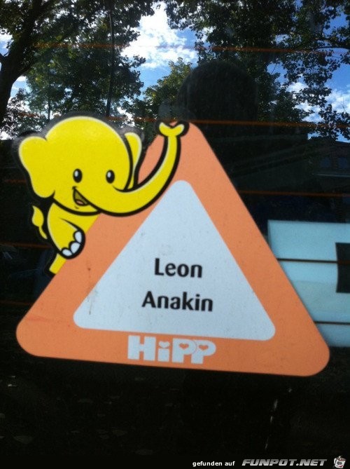 Leon Anakin Leon Anakin