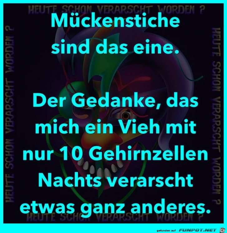 Mückenstiche Mückenstiche