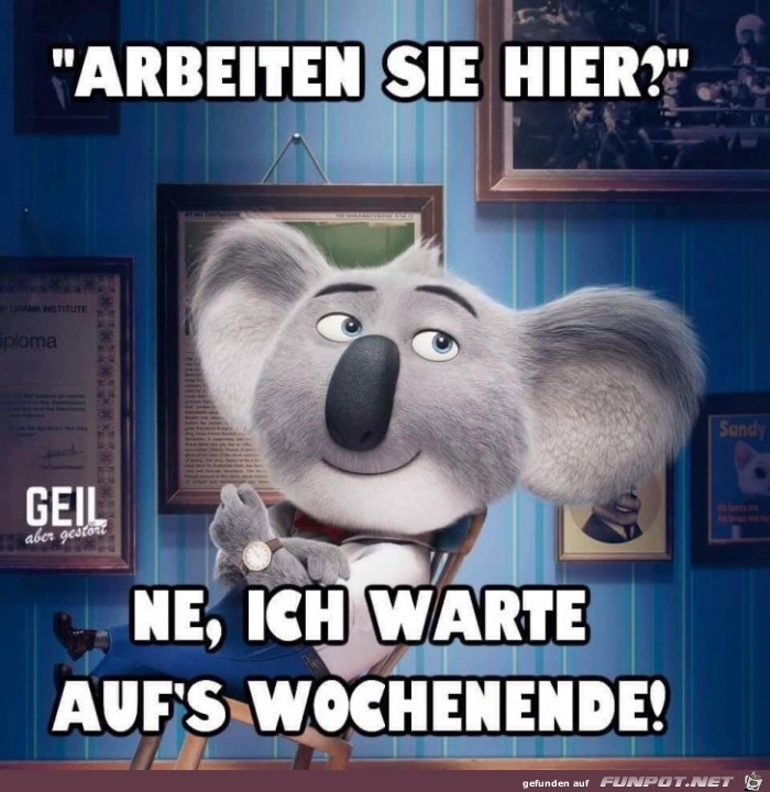 Arbeiten sie hier Arbeiten sie hier