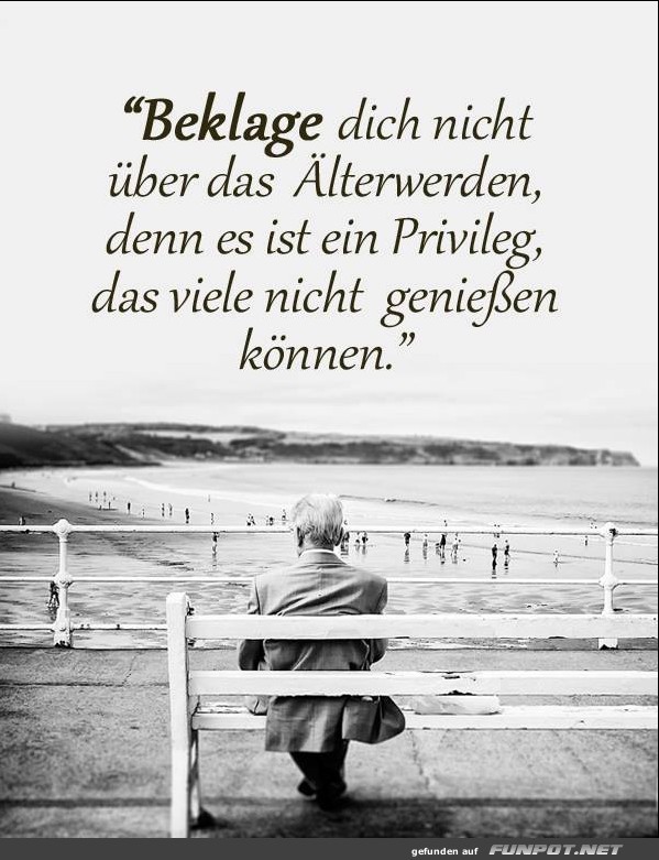 10 sch�ne Spr�che und Lebensweisheiten aus...