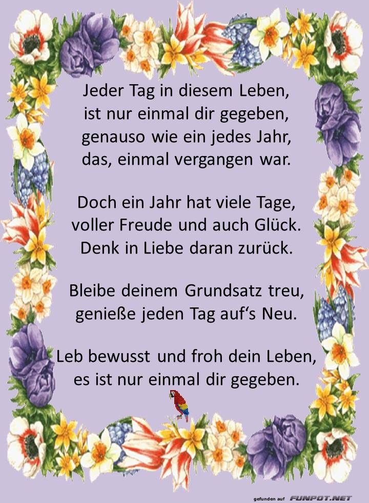 Jeder Tag Jeder Tag