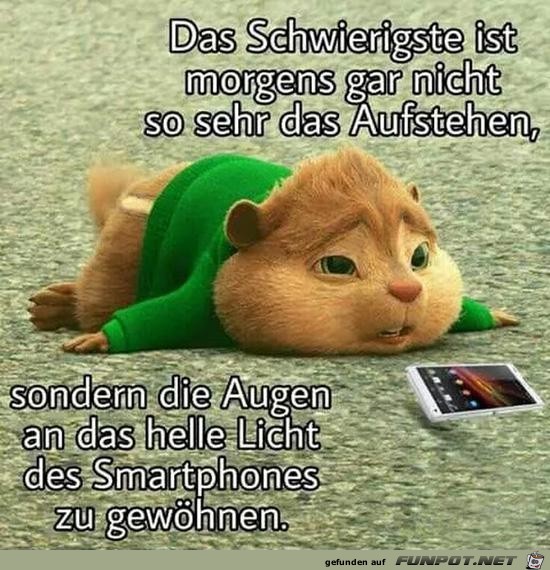 das Schwierigste ist Morgens gar nicht das Aufstehen........ das Schwierigste ist Morgens gar nicht das Aufstehen........