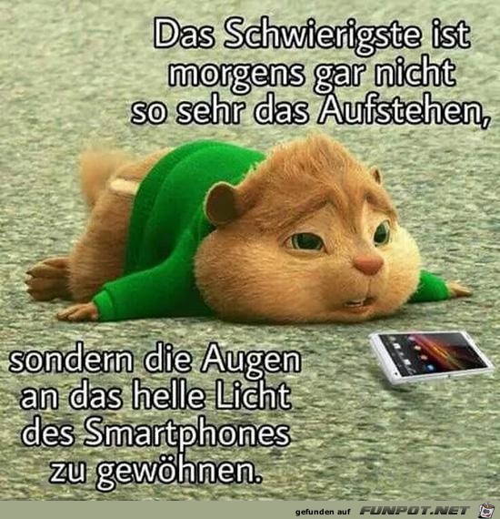 das Schwierigste ist Morgens gar nicht das Aufstehen........