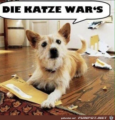 Ich war das nicht Ich war das nicht