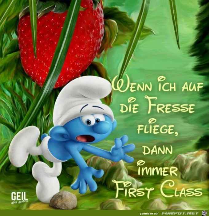 Wenn ich auf die Fresse fliege Wenn ich auf die Fresse fliege