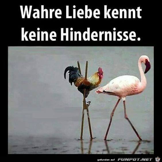 Keine Hindernisse Keine Hindernisse