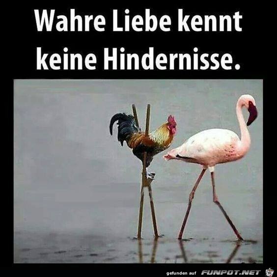 Keine Hindernisse