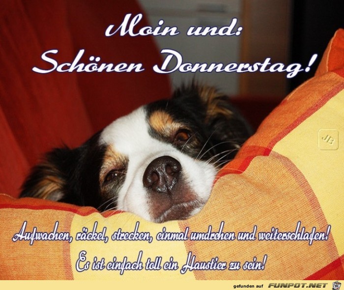 Donnerstag